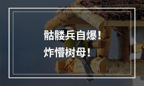 骷髅兵自爆！炸懵树母！