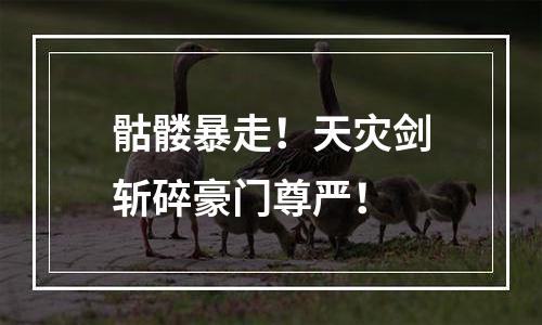 骷髅暴走！天灾剑斩碎豪门尊严！