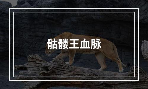 骷髅王血脉