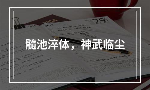 髓池淬体，神武临尘