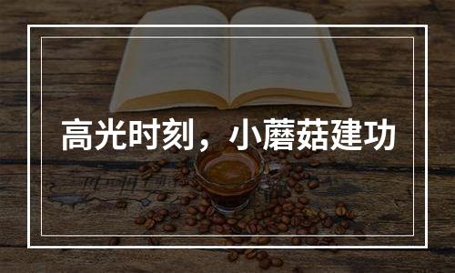 高光时刻，小蘑菇建功