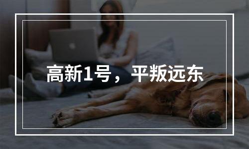 高新1号，平叛远东
