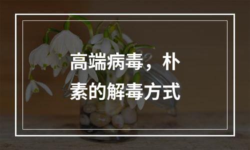 高端病毒，朴素的解毒方式