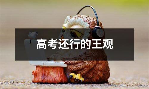 高考还行的王观