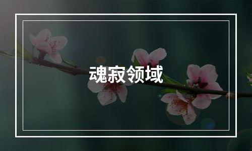 魂寂领域