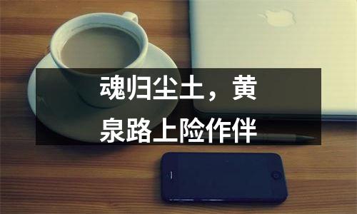 魂归尘土，黄泉路上险作伴