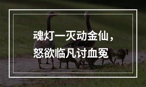 魂灯一灭动金仙，怒欲临凡讨血冤