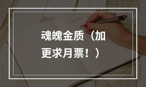 魂魄金质（加更求月票！）
