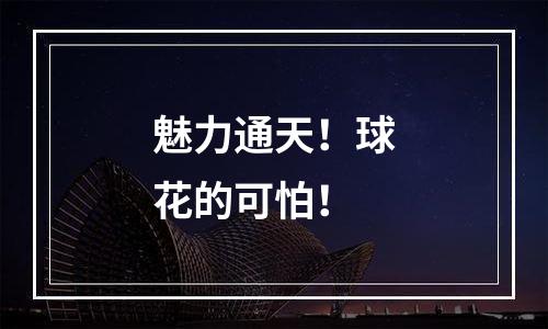 魅力通天！球花的可怕！