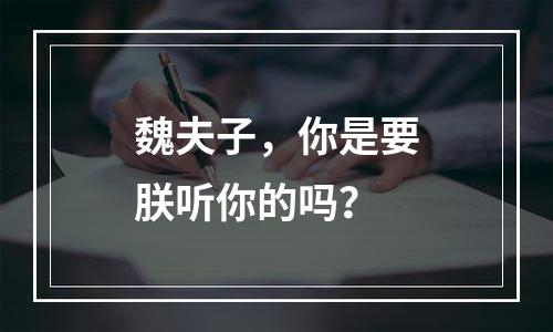 魏夫子，你是要朕听你的吗？