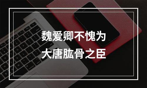 魏爱卿不愧为大唐肱骨之臣