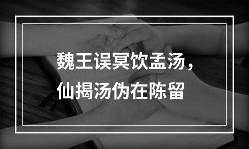 魏王误冥饮孟汤，仙揭汤伪在陈留
