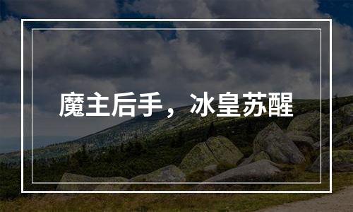 魔主后手，冰皇苏醒
