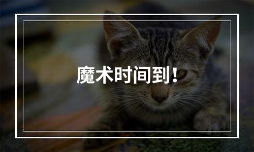 魔术时间到！