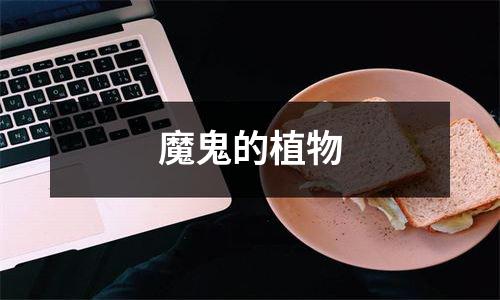 魔鬼的植物