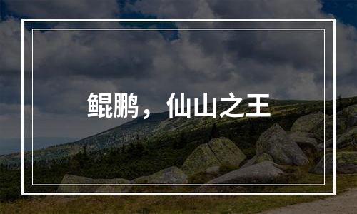 鲲鹏，仙山之王