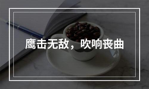 鹰击无敌，吹响丧曲