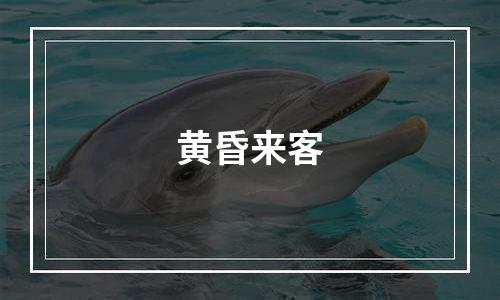 黄昏来客