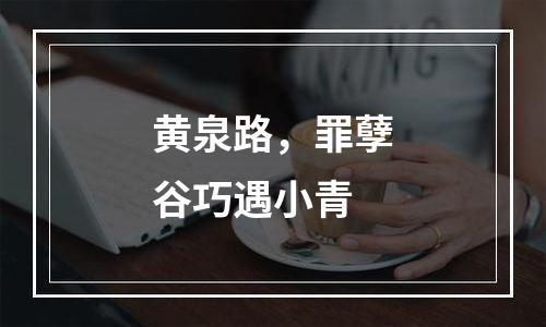 黄泉路，罪孽谷巧遇小青