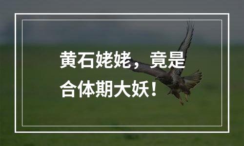 黄石姥姥，竟是合体期大妖！