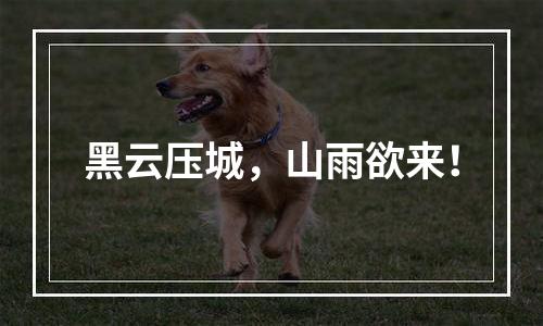 黑云压城，山雨欲来！