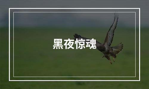 黑夜惊魂