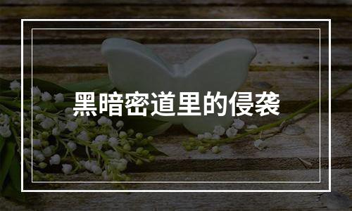 黑暗密道里的侵袭