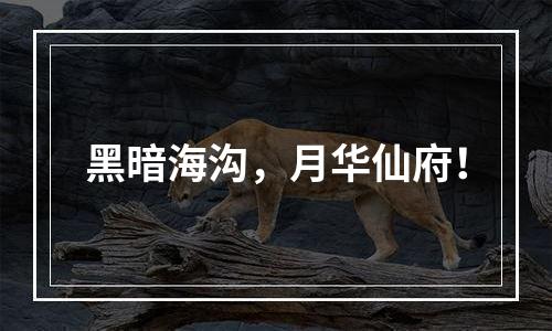 黑暗海沟，月华仙府！