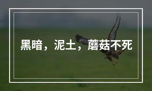 黑暗，泥土，蘑菇不死