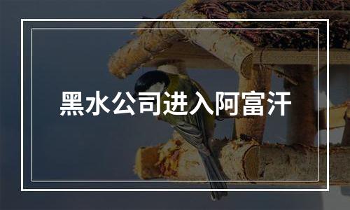 黑水公司进入阿富汗