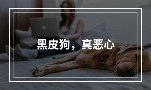 黑皮狗，真恶心