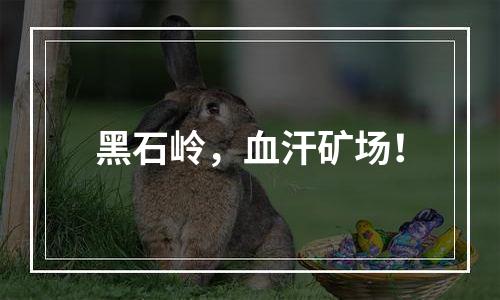 黑石岭，血汗矿场！