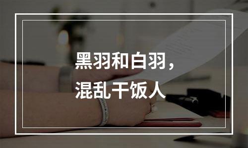 黑羽和白羽，混乱干饭人