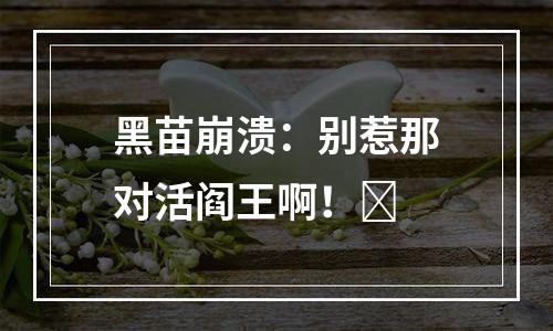 黑苗崩溃：别惹那对活阎王啊！​