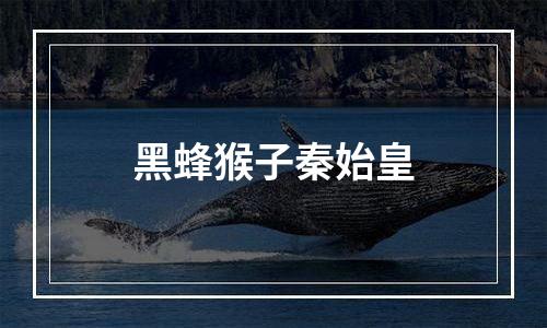 黑蜂猴子秦始皇