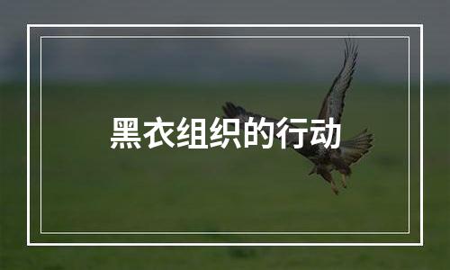 黑衣组织的行动