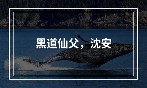 黑道仙父，沈安