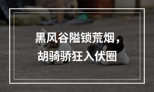 黑风谷隘锁荒烟， 胡骑骄狂入伏圈
