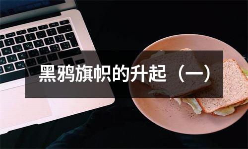 黑鸦旗帜的升起（一）