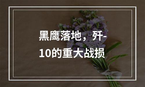 黑鹰落地，歼-10的重大战损