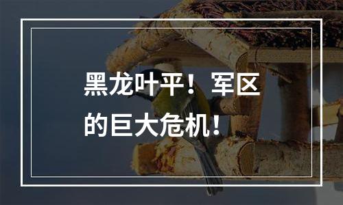 黑龙叶平！军区的巨大危机！