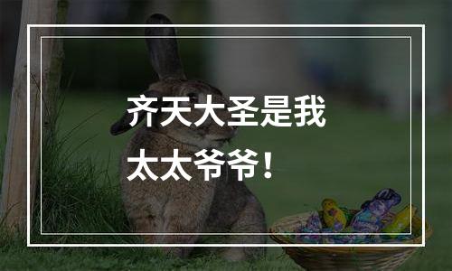 齐天大圣是我太太爷爷！