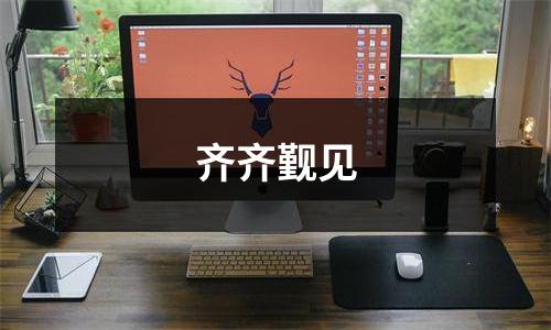 齐齐觐见
