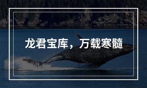 龙君宝库，万载寒髓