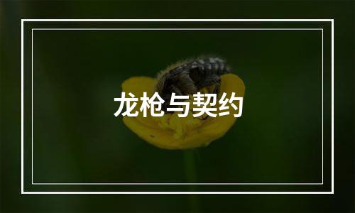 龙枪与契约
