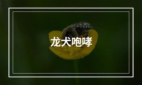 龙犬咆哮