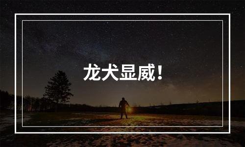 龙犬显威！