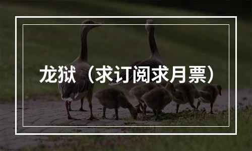 龙狱（求订阅求月票）
