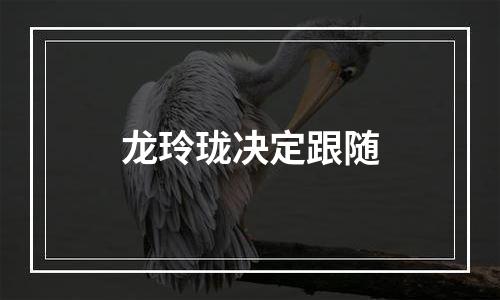 龙玲珑决定跟随