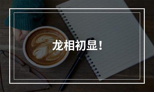 龙相初显！